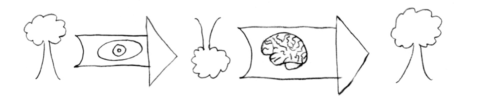 Eye transform and brain reverse transform