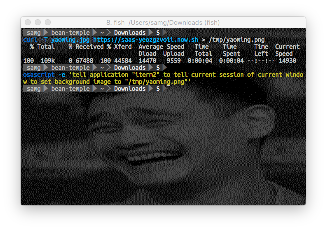 Dithered Yao Ming as a terminal background