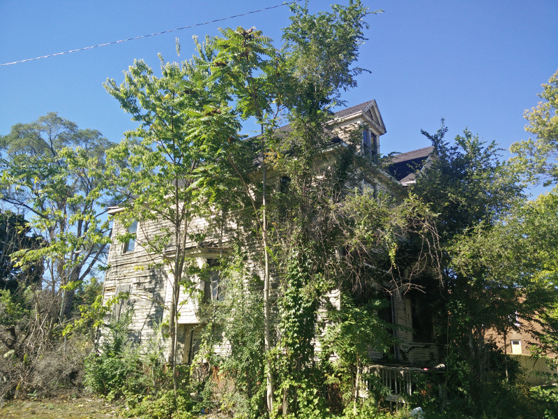 An overgrown house