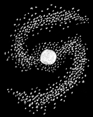 Spiral version 4